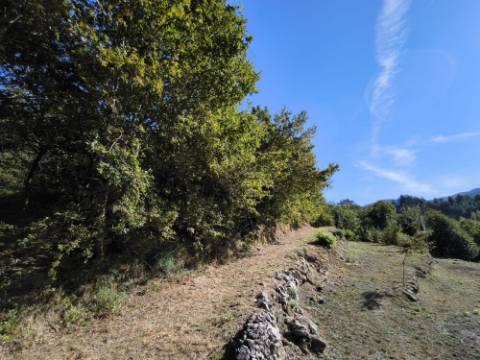 Ruína com terreno num local isolado