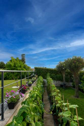 Moradia T3 de Luxo à Venda no Centro Histórico de Ponte de Lima - 750.000€