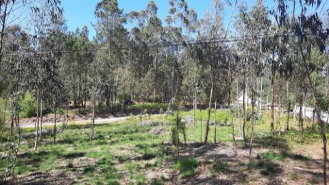 Terreno 3283m² com PIP Aprovado