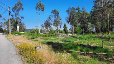 Terreno 3283m² com PIP Aprovado