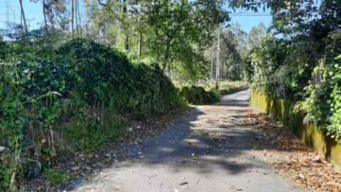 Terreno 3283m² com PIP Aprovado