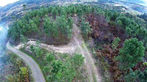 Terreno com projeto aprovado