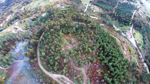 Terreno com projeto aprovado