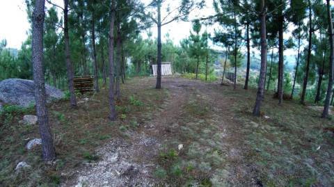 Terreno com projeto aprovado