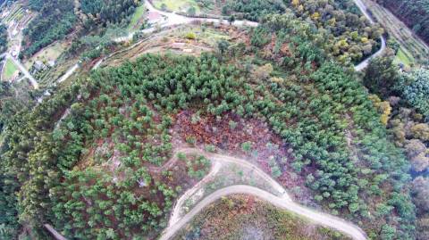 Terreno com projeto aprovado