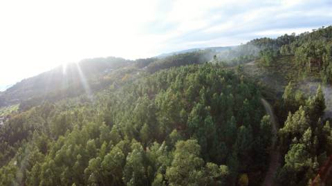 Terreno com projeto aprovado