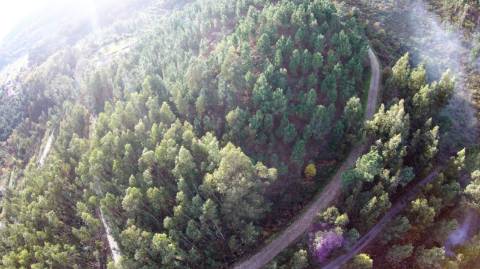 Terreno com projeto aprovado