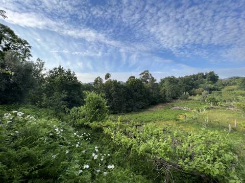 Terreno para moradia V5+ com projecto aprovado