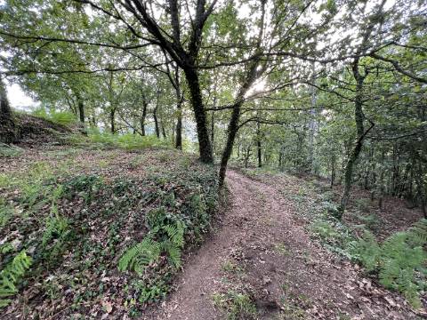 Terreno para moradia V5+ com projecto aprovado