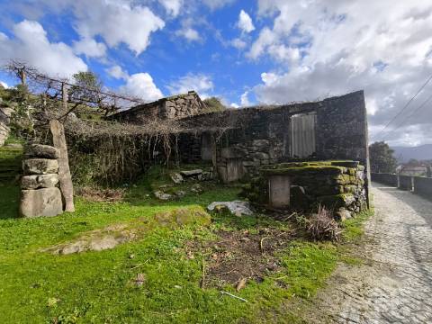 Ruína para Restauro