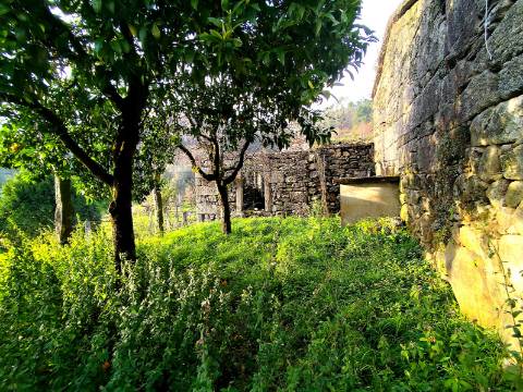 Ruína para Restauro