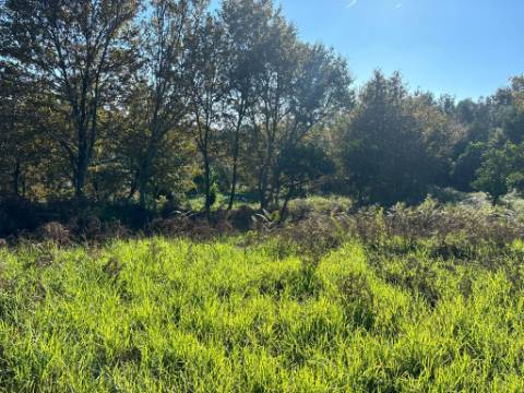 Terreno para duas moradias com 7.518m2, 2 artigos, Vila Verde