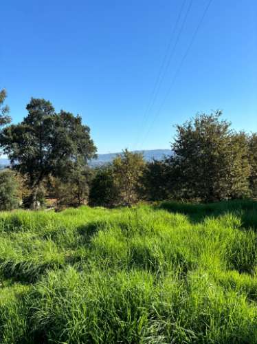 Terreno para duas moradias com 7.518m2, 2 artigos, Vila Verde