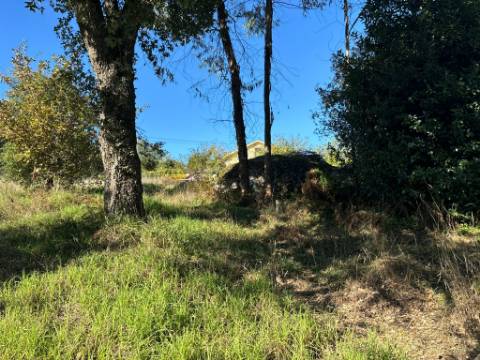 Terreno para duas moradias com 7.518m2, 2 artigos, Vila Verde