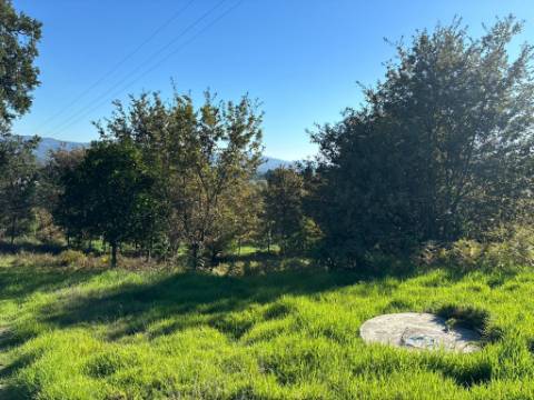 Terreno para duas moradias com 7.518m2, 2 artigos, Vila Verde
