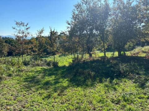 Terreno para duas moradias com 7.518m2, 2 artigos, Vila Verde