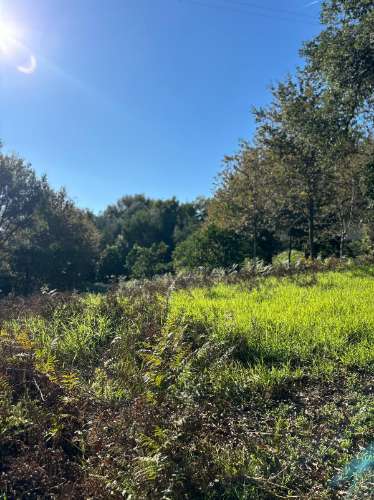 Terreno para duas moradias com 7.518m2, 2 artigos, Vila Verde