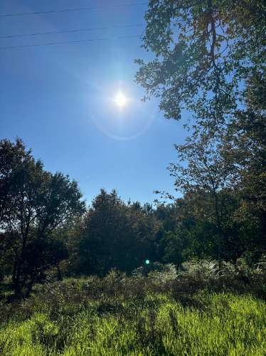 Terreno para duas moradias com 7.518m2, 2 artigos, Vila Verde