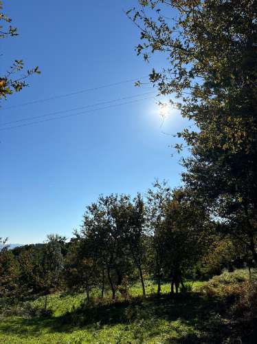 Terreno para duas moradias com 7.518m2, 2 artigos, Vila Verde