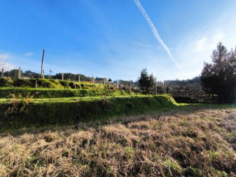 Terreno em Zona de Construção