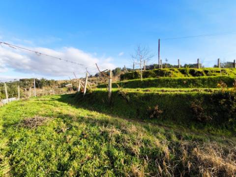 Terreno em Zona de Construção