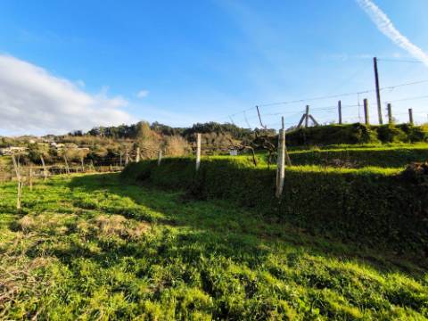 Terreno em Zona de Construção