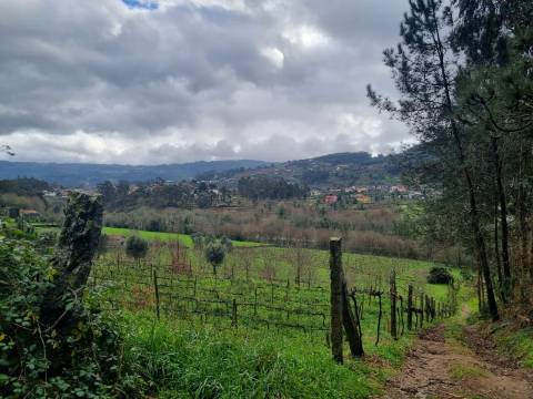 Terreno para construção em Refoios de Lima com acesso ao rio Lima