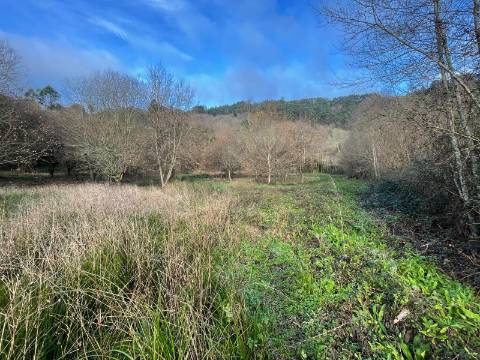 Terreno Junto às Cascatas de Rio Cabrão, Arcos de Valdevez