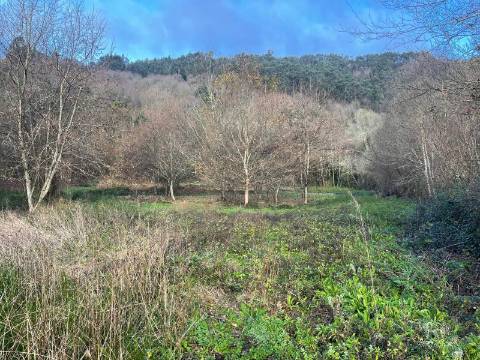 Terreno Junto às Cascatas de Rio Cabrão, Arcos de Valdevez