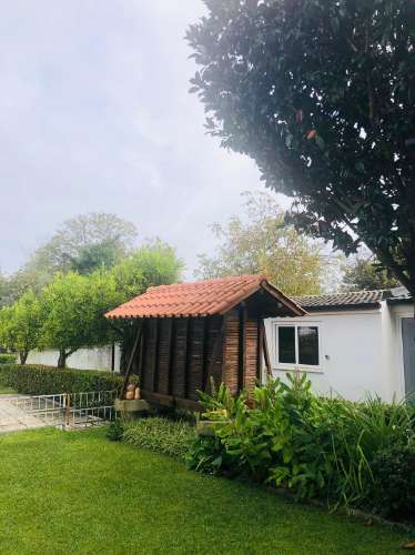 Moradia V6 com piscina em Ponte de Lima