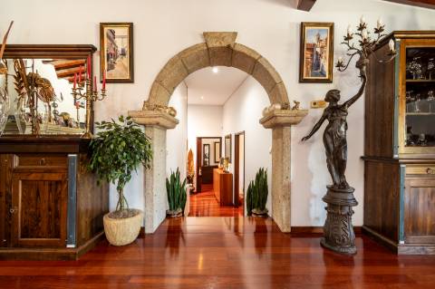 Quintinha V4 de 6017m2, tradicional, Ponte de Lima