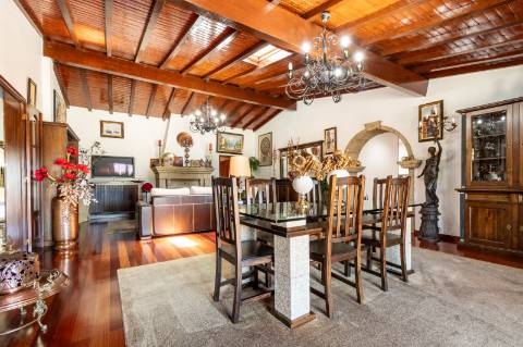 Quintinha V4 de 6017m2, tradicional, Ponte de Lima