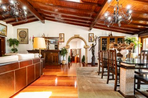 Quintinha V4 de 6017m2, tradicional, Ponte de Lima