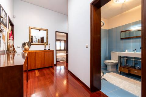 Quintinha V4 de 6017m2, tradicional, Ponte de Lima