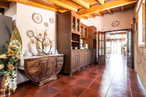 Quintinha V4 de 6017m2, tradicional, Ponte de Lima