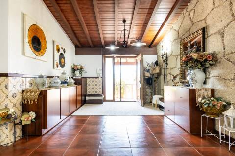 Quintinha V4 de 6017m2, tradicional, Ponte de Lima