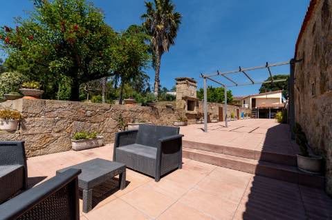 Quintinha V4 de 6017m2, tradicional, Ponte de Lima