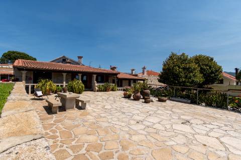 Quintinha V4 de 6017m2, tradicional, Ponte de Lima