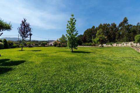 Quintinha V4 de 6017m2, tradicional, Ponte de Lima