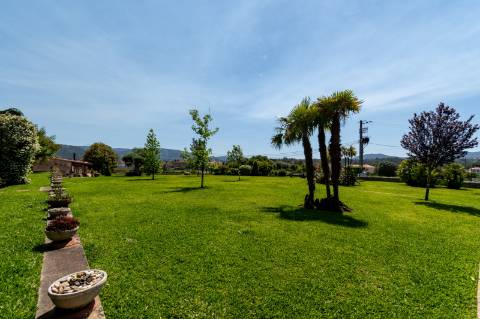 Quintinha V4 de 6017m2, tradicional, Ponte de Lima