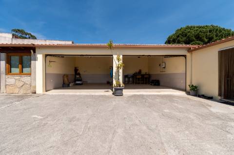 Quintinha V4 de 6017m2, tradicional, Ponte de Lima