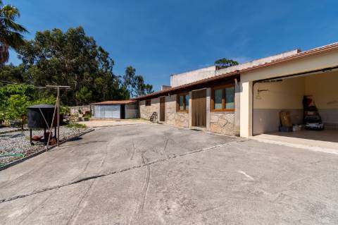 Quintinha V4 de 6017m2, tradicional, Ponte de Lima