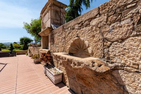 Quintinha V4 de 6017m2, tradicional, Ponte de Lima