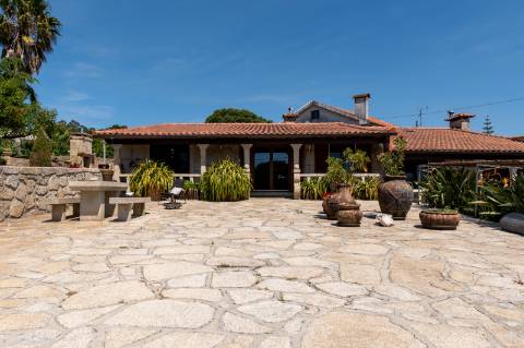 Quintinha V4 de 6017m2, tradicional, Ponte de Lima