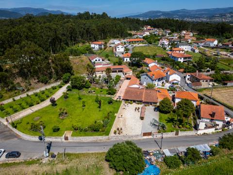 Quintinha V4 de 6017m2, tradicional, Ponte de Lima