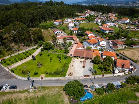 Quintinha V4 de 6017m2, tradicional, Ponte de Lima