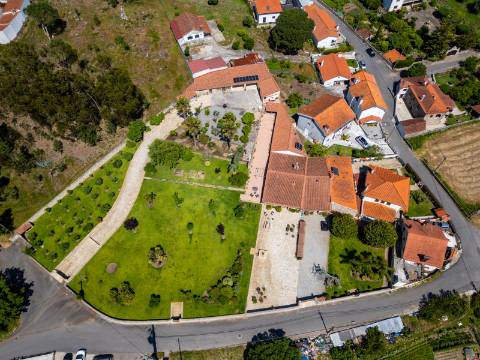 Quintinha V4 de 6017m2, tradicional, Ponte de Lima