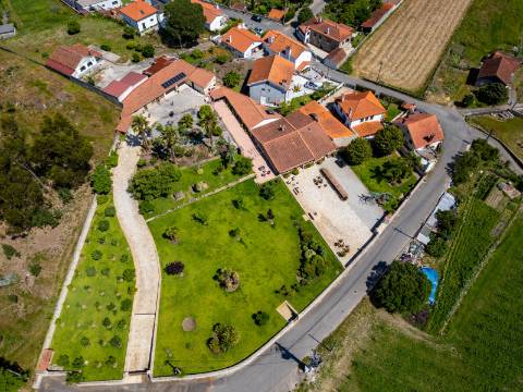 Quintinha V4 de 6017m2, tradicional, Ponte de Lima