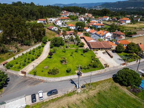 Quintinha V4 de 6017m2, tradicional, Ponte de Lima