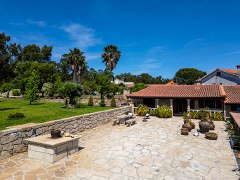 Quintinha V4 de 6017m2, tradicional, Ponte de Lima